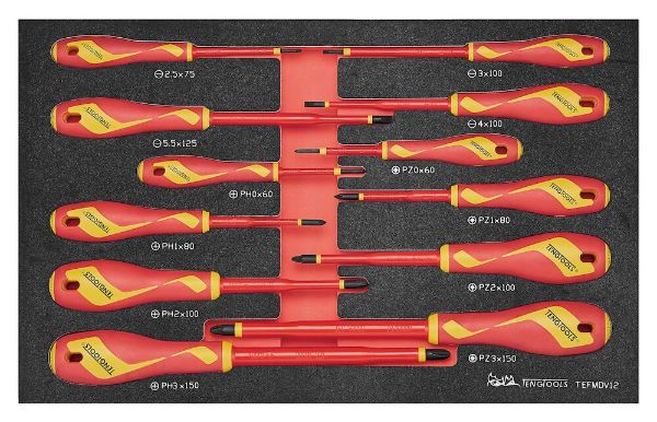 Picture of Teng Tools Insulated Screwdriver Set FOAM3 12 Pieces - TEFMDV12