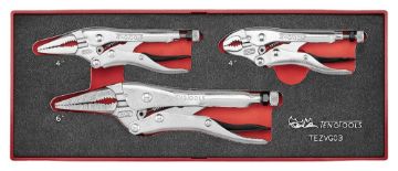 Picture of Teng Tools Power Grip Plier Set FOAMX2 3 Pieces - TEZVG03