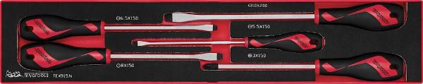 Picture of Teng Tools Screwdriver Set Flat & PH FOAMX4 5 Pieces - TEX915N