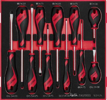 Picture of Teng Tools Screwdriver Set Mixed FOAM2 11 Pieces - TED911N