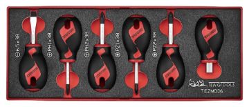 Picture of Teng Tools Stubby Screwdriver Set FOAMX2 6 Pieces - TEZMD06