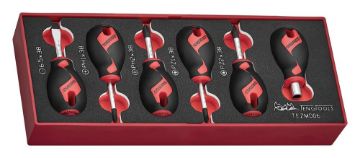 Picture of Teng Tools Stubby Screwdriver Set FOAMX2 6 Pieces - TEZMD06
