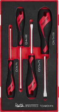 Picture of Teng Tools Screwdriver Set Flat FOAM1 4 Pieces - TEAMD04N