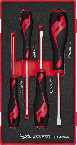 Picture of Teng Tools Screwdriver Set Flat FOAM1 4 Pieces - TEAMD04N