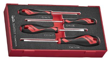 Picture of Teng Tools Screwdriver Set Flat FOAM1 4 Pieces - TEAMD04N