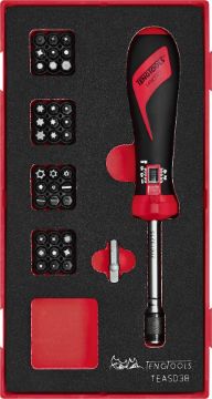 Picture of Teng Tools Torque Screwdriver Set FOAM1 38 Pieces - TEASD38