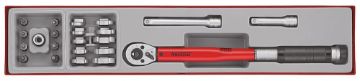 Picture of Teng Tools 3/8" Torque Wrench Set 20-110 Nm TTX4 22 Pieces - TTX3892