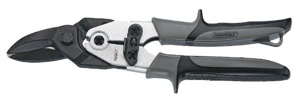 Picture of Teng Tools Tin Snip Right/Straight - 491