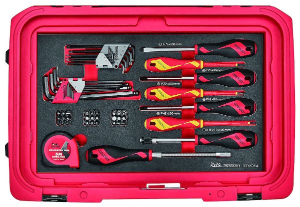 Picture of Teng Tools Screwdriver & Hex/TX Key Set 1 FOAM3 54 Pieces - TEFMD54