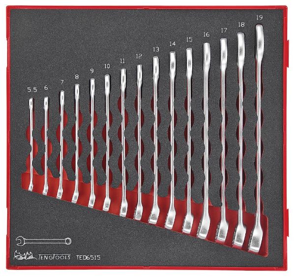 Picture of Teng Tools Combination Spanner Set FOAM2 15 Pieces - TED6515